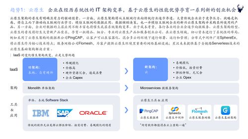 初心資本2021中國企業服務新趨勢報告 軟件開發行業洞察與展望